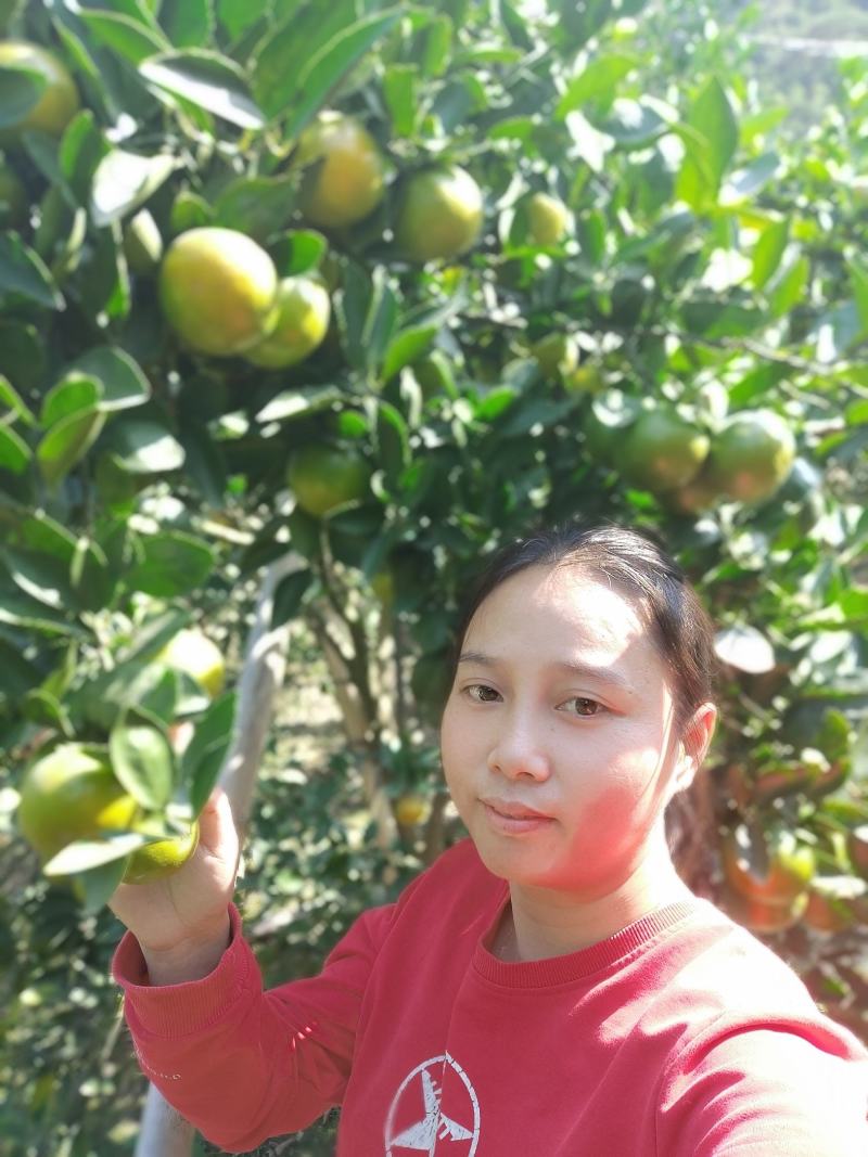 特产:正宗德庆《贡柑》又名皇帝柑10斤1件