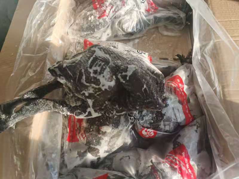 乌鸡6只装-价格美丽厂家直接发货需要的联系