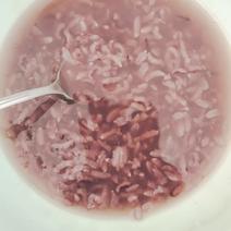 海阳本地沽头大米白糯米紫糯米盐碱地种植口感软糯香甜一件代