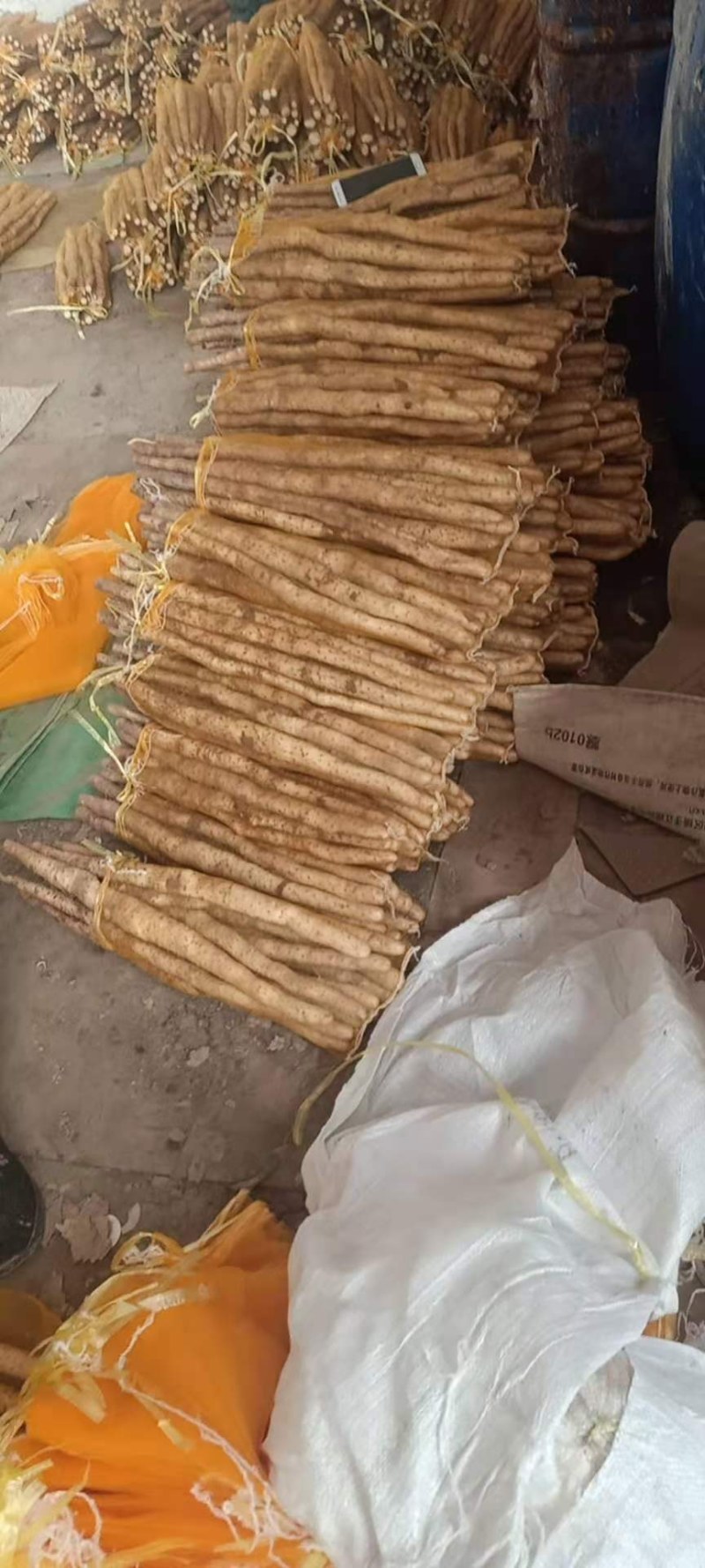 我处大量小白嘴山药上市了，有大货二货曲扁短节，电商代发