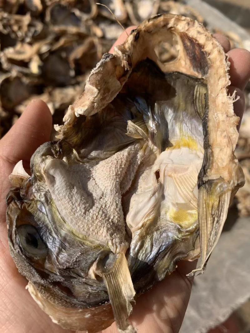 河豚鱼干，干度9成多