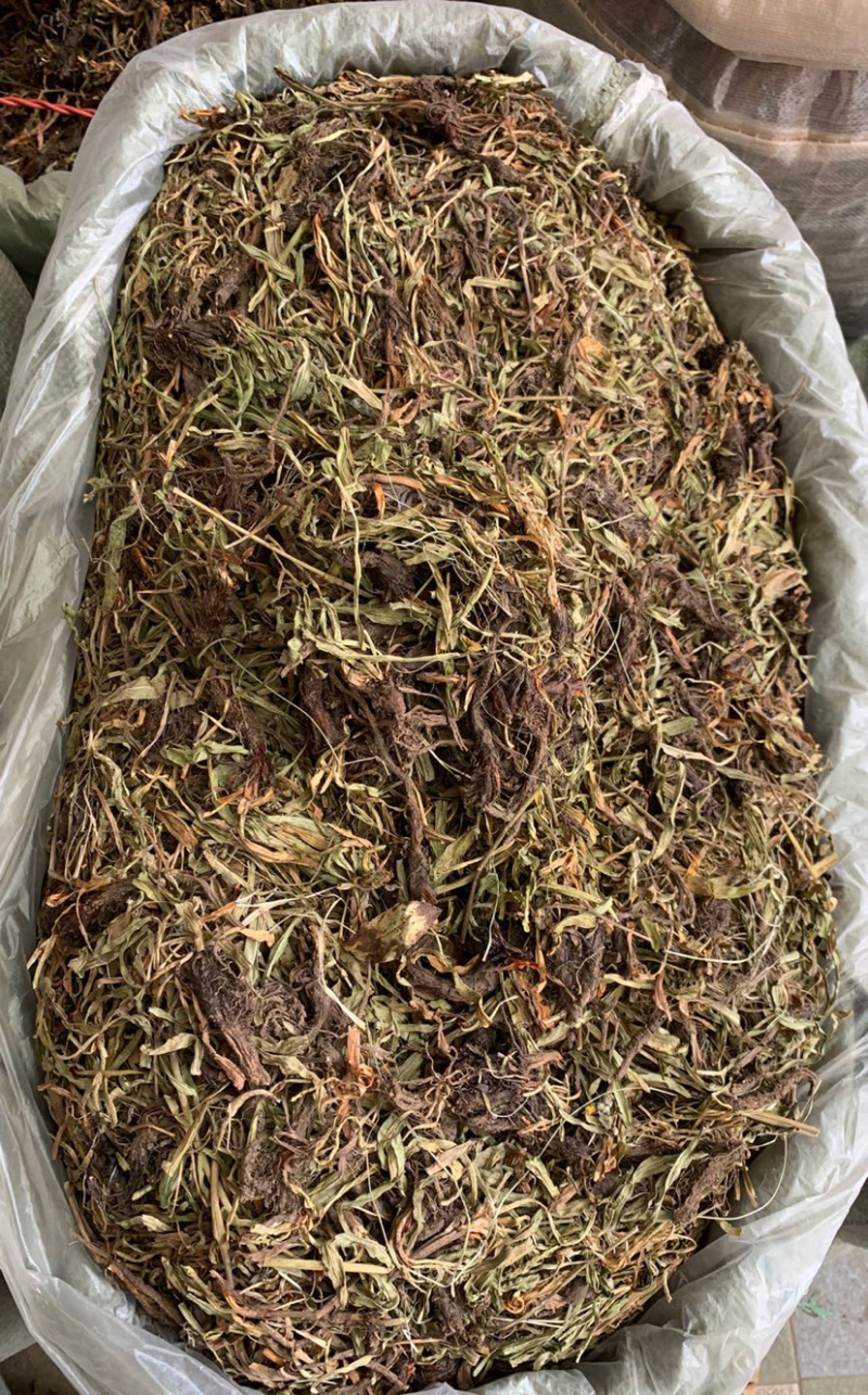 甘松【包邮】三斤起发货可批量可零售量大从优