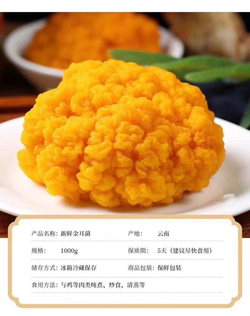 新鲜金耳菌云南特产黄金耳黄木耳非干货银耳菌金耳黄耳