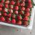 奶油草莓将大量上市，货源充足。包装齐全，对接全国客商