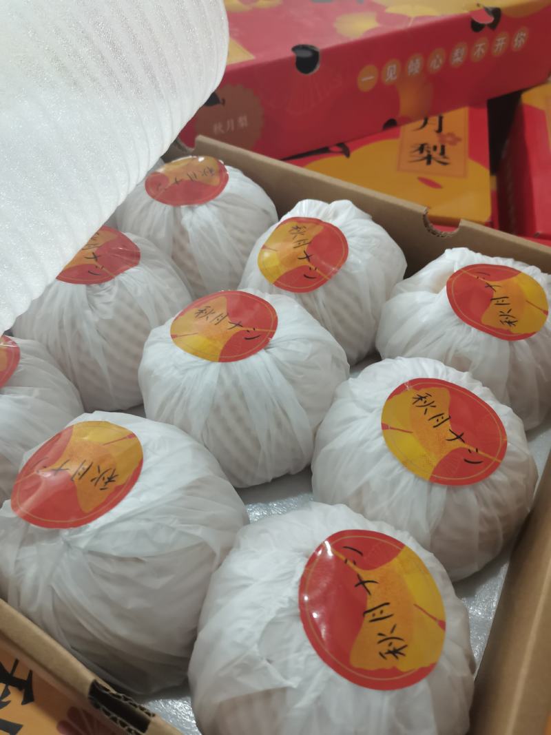 秋月梨大量上市，馆陶县2建果品站专业供应秋月梨（大果园）