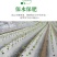 农用银黑双色反光地膜除草膜防虫加厚薄膜果树果园蔬菜大棚
