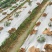 农用银黑双色反光地膜除草膜防虫加厚薄膜果树果园蔬菜大棚