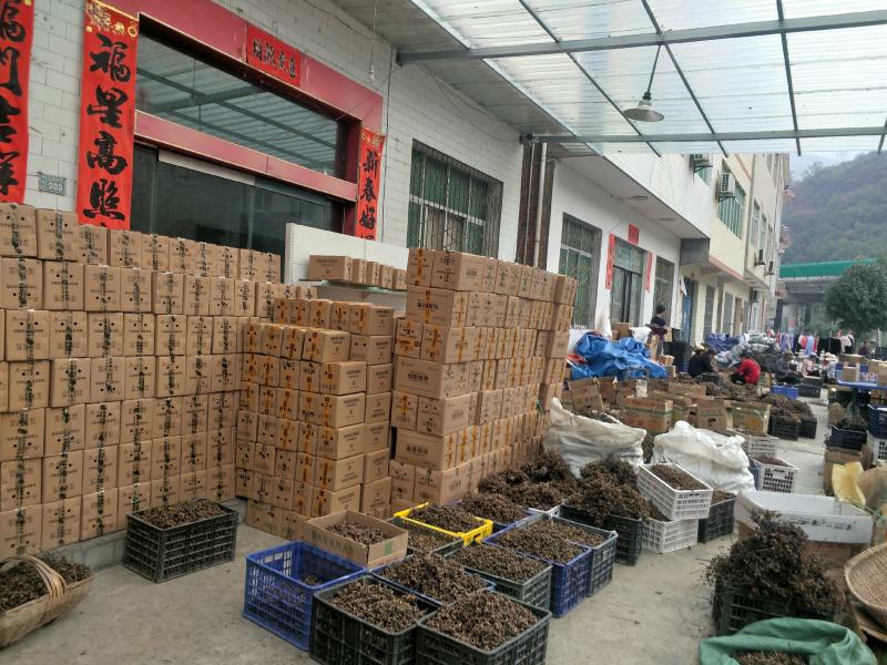 拐枣万寿果鸡爪梨金钩梨批发全国供应可承接电商一件代发