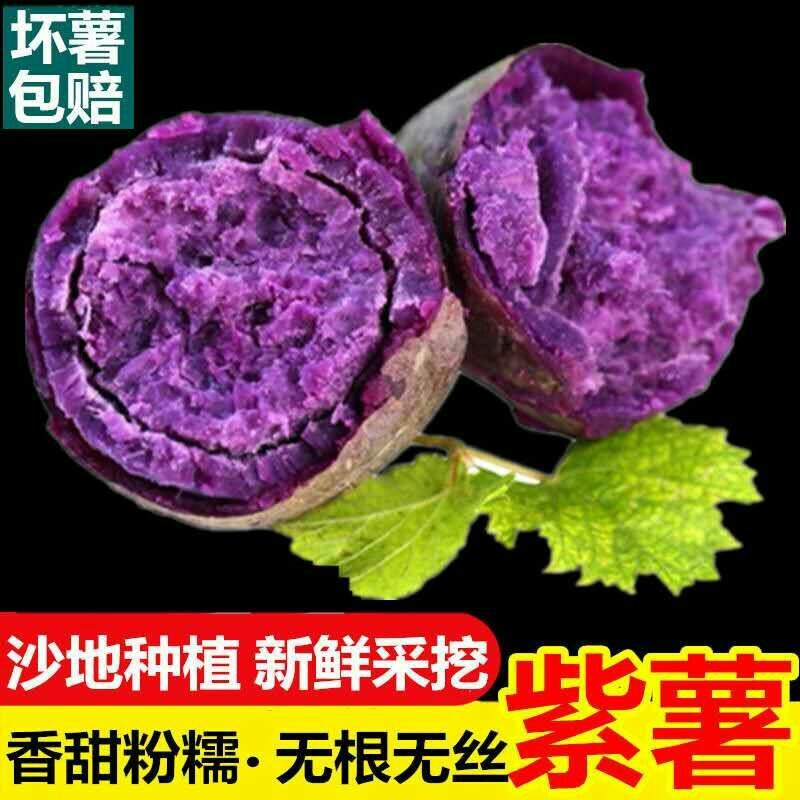 沙地现挖紫薯新鲜番薯红薯地瓜蜜薯蔬菜批发