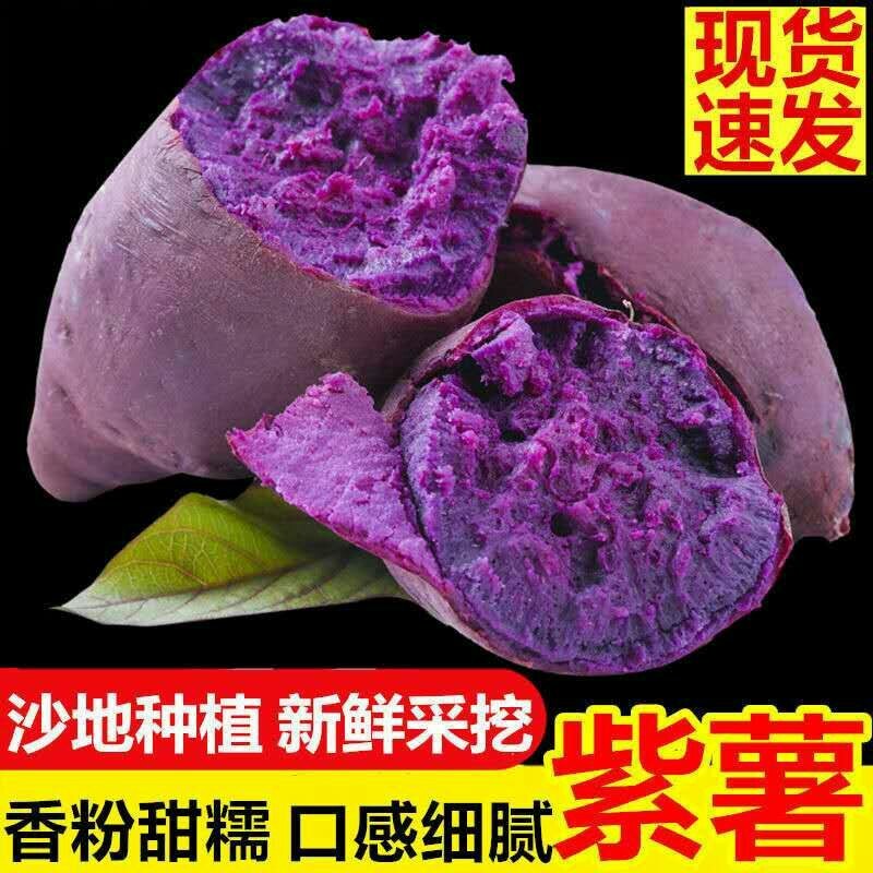 沙地现挖紫薯新鲜番薯红薯地瓜蜜薯蔬菜批发