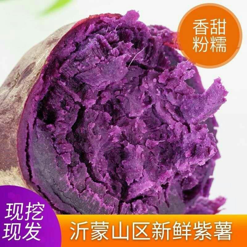 沙地现挖紫薯新鲜番薯红薯地瓜蜜薯蔬菜批发