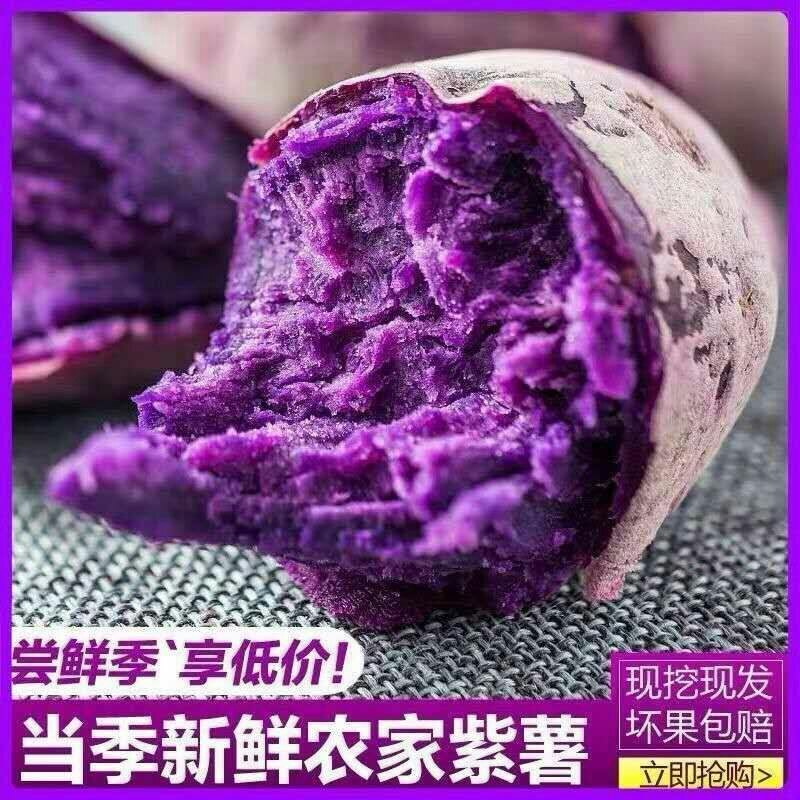 沙地现挖紫薯新鲜番薯红薯地瓜蜜薯蔬菜批发