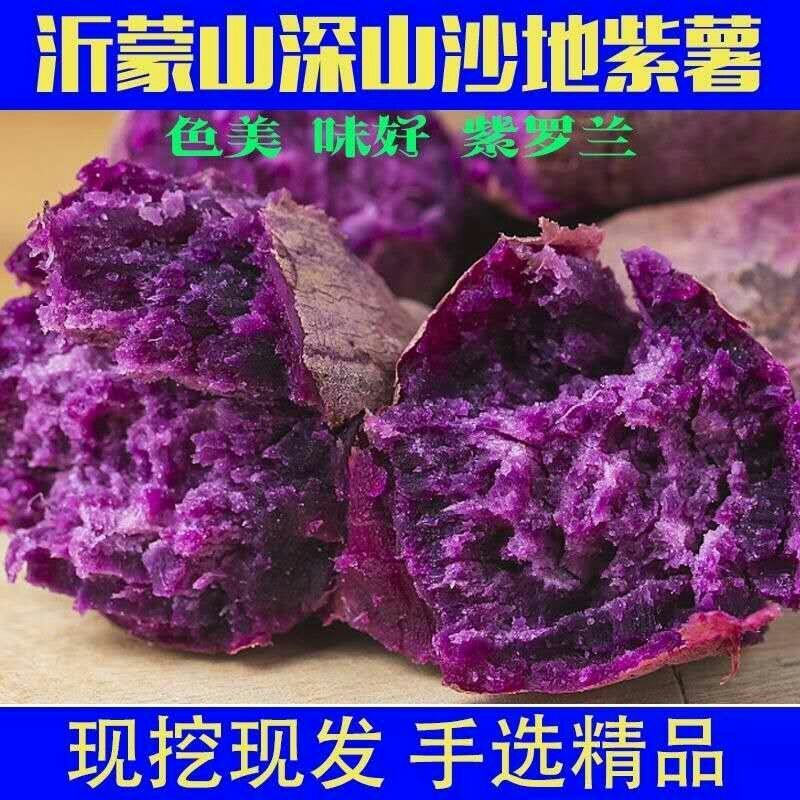 沙地现挖紫薯新鲜番薯红薯地瓜蜜薯蔬菜批发