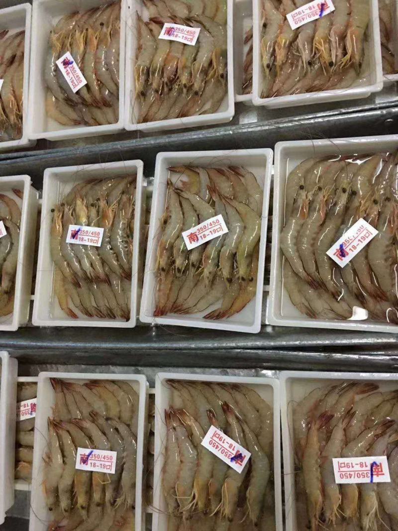 虾，味道正，北海特产！！！！！！！！！！