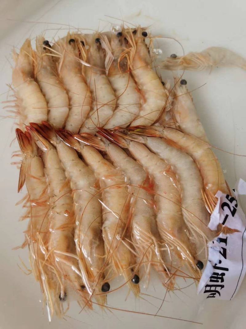 虾，味道正，北海特产！！！！！！！！！！