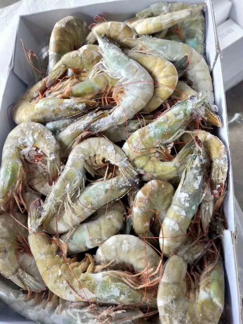 虾，味道正，北海特产！！！！！！！！！！