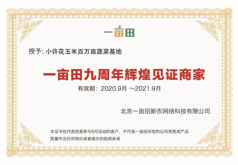 精品大蒜，保质保量，一手货源，诚信为本，货源充足，