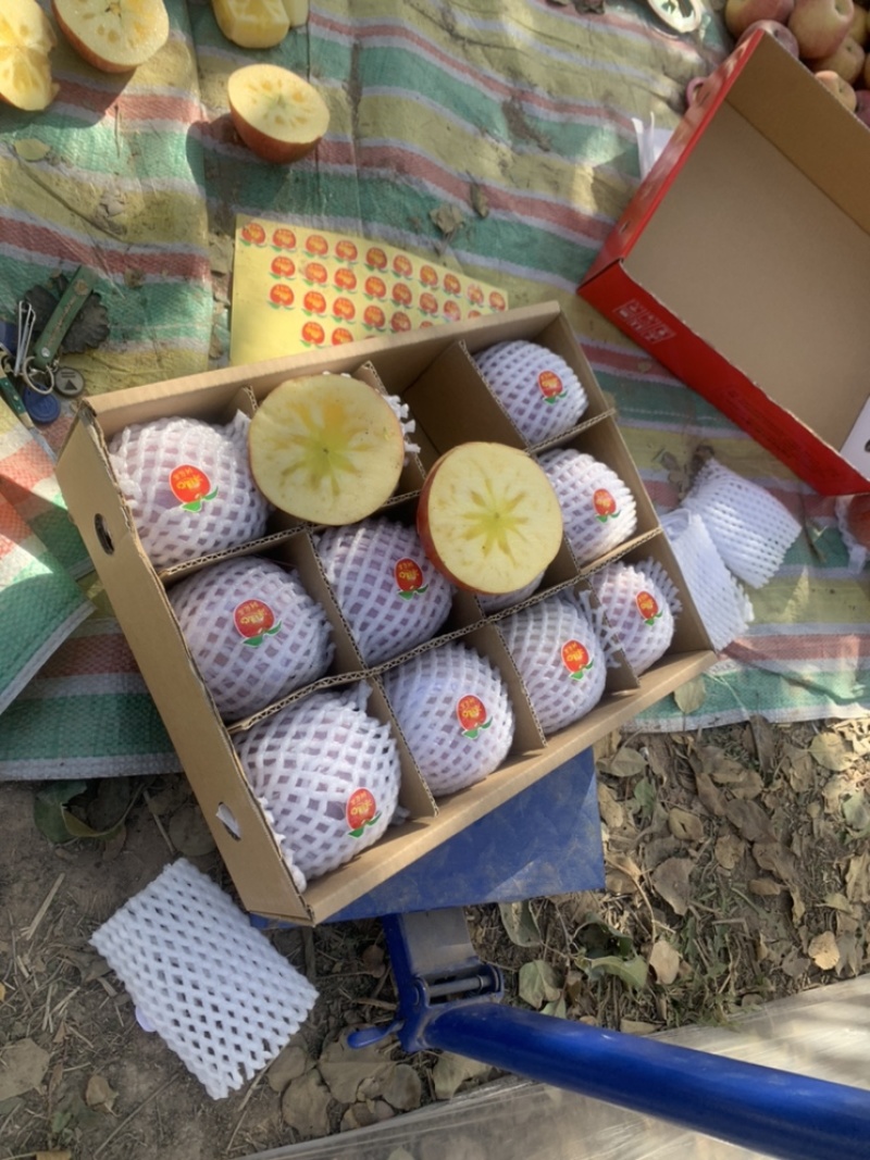 正宗新疆阿克苏冰糖心