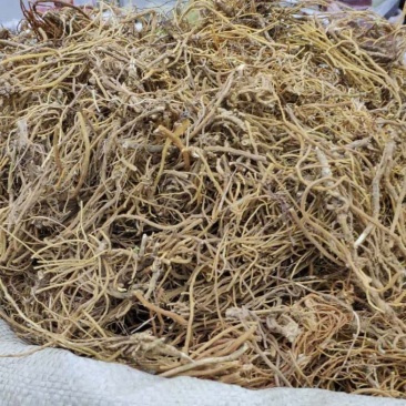 云南中药材龙胆草正品苦胆草龙胆整颗龙胆草各种规格