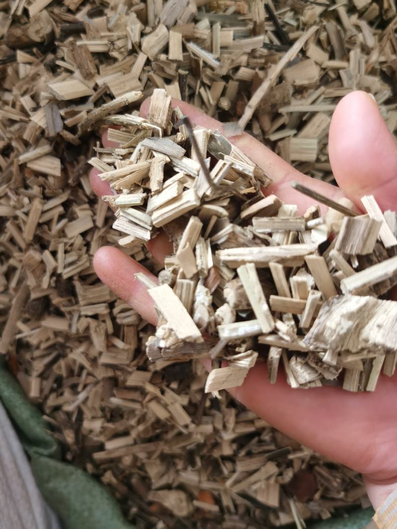 南板兰根新货质量保证长期有大货量大优惠