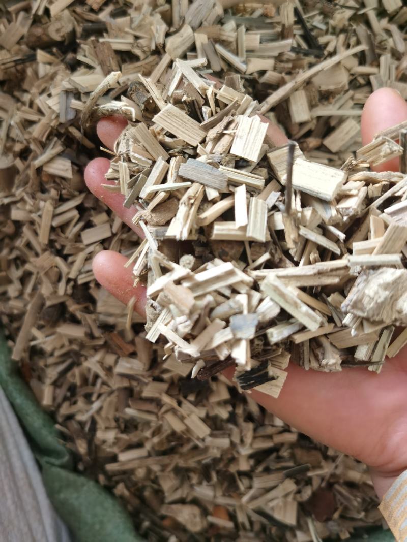 南板兰根新货质量保证长期有大货量大优惠