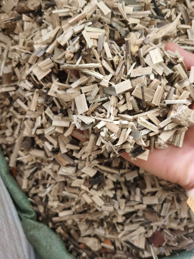 南板兰根新货质量保证长期有大货量大优惠