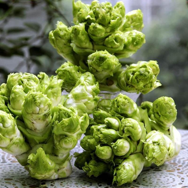 儿菜抱儿菜母子菜，大量上市，量大从优欢迎