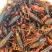 小龙虾（规格虾，质量虾，活力好，肉饱满）
