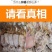 特大号炭烧鱿鱼干货500g烧烤专用手撕芥末鱿鱼须尤鱼乌贼