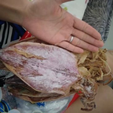 特大号炭烧鱿鱼干货500g烧烤专用手撕芥末鱿鱼须尤鱼乌贼
