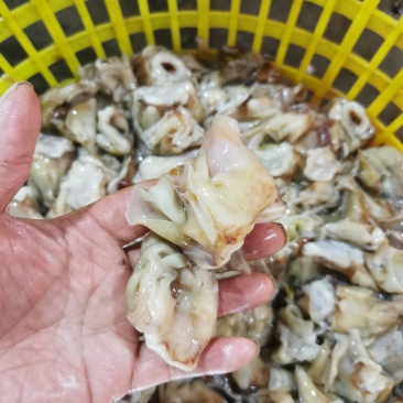 鱿鱼机洗脖子