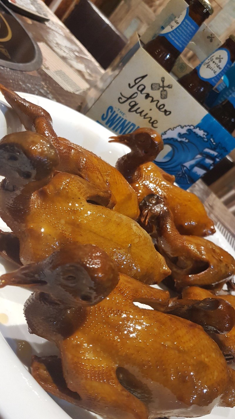 正宗散养鸽子乳鸽土鸽农家散养现杀新鲜鸽子肉