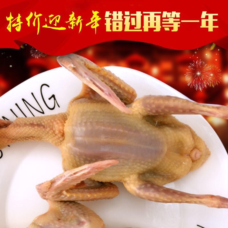 正宗散养鸽子乳鸽土鸽农家散养现杀新鲜鸽子肉
