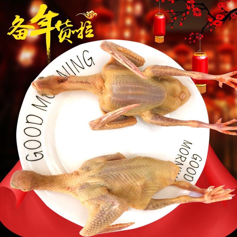 正宗散养鸽子乳鸽土鸽农家散养现杀新鲜鸽子肉