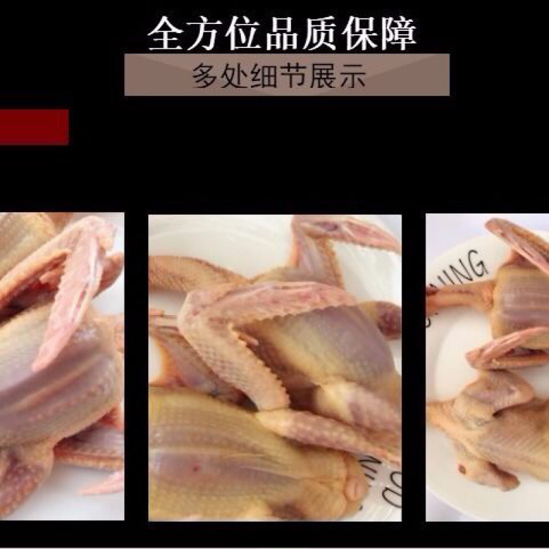 正宗散养鸽子乳鸽土鸽农家散养现杀新鲜鸽子肉