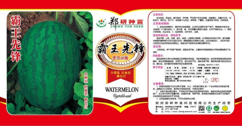 促销包邮郑研大红瓤西瓜种子抗重茬抗旱抗病能力易座果