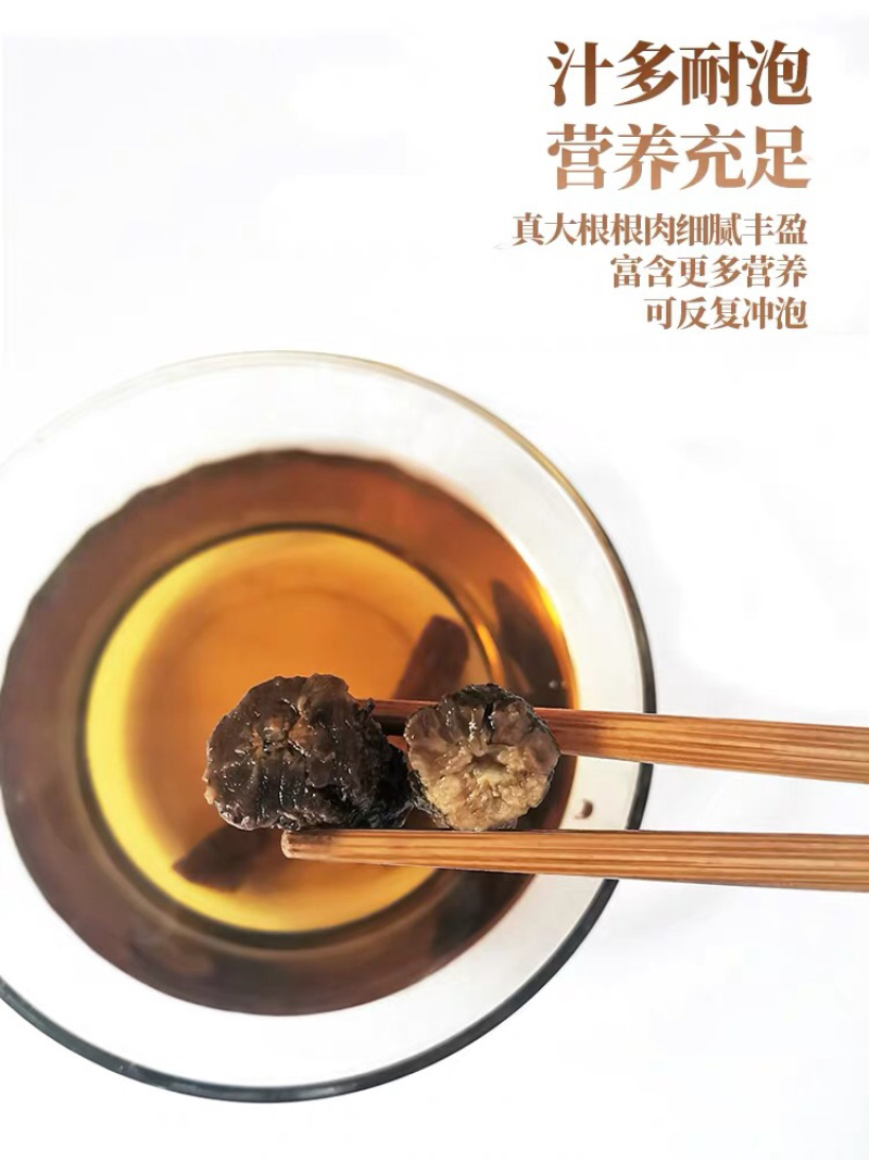 蒲公英根长白山蒲公英秋根500克包邮