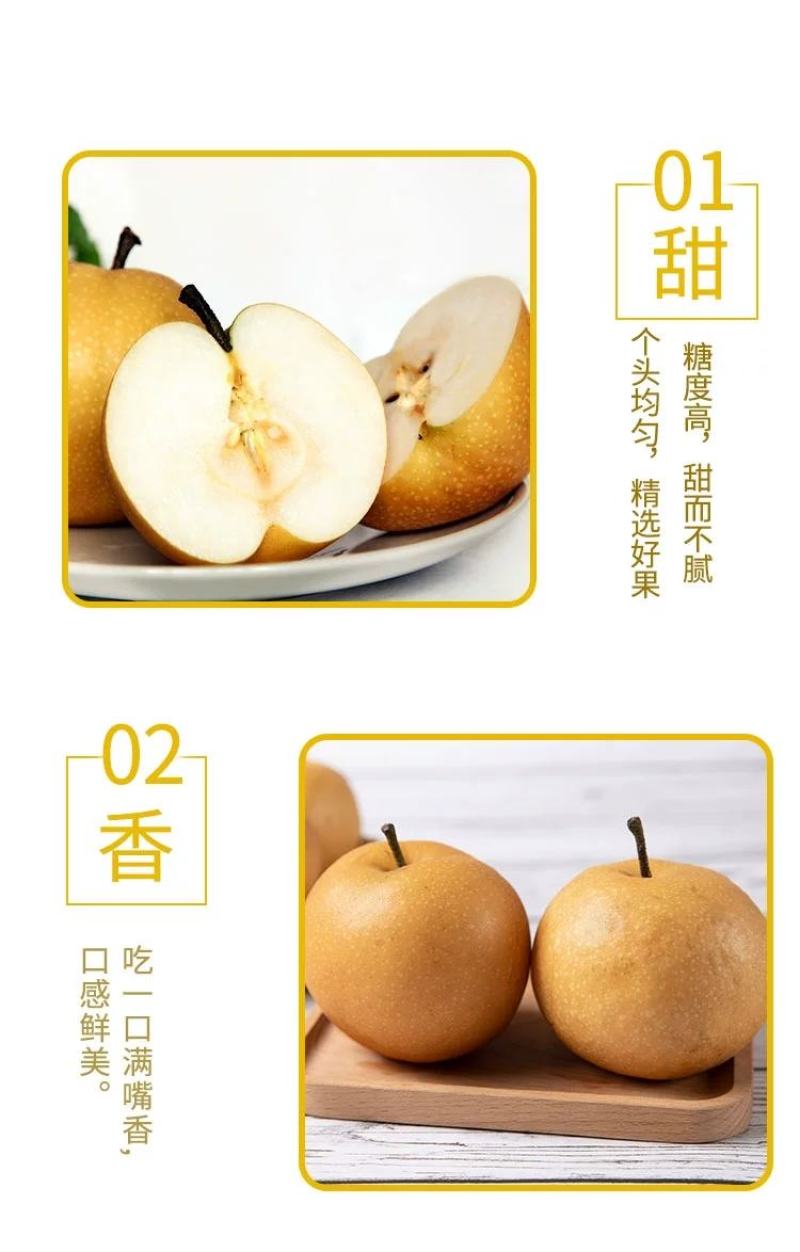 富硒梨苗，晚熟，个头大，产量高，适应能力强