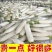 精品白萝卜诚信代办品质有保障，支持视频看货