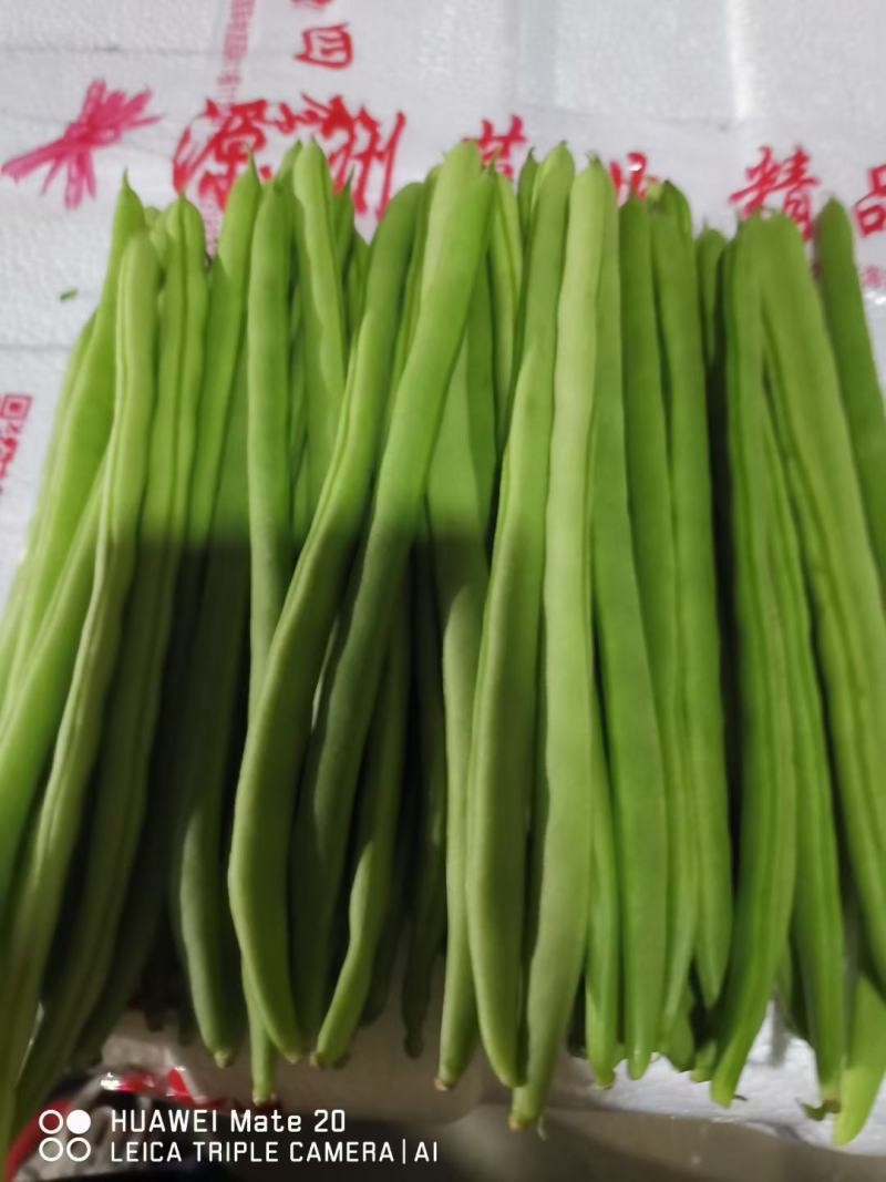 小金豆小金豆，新苗保山货