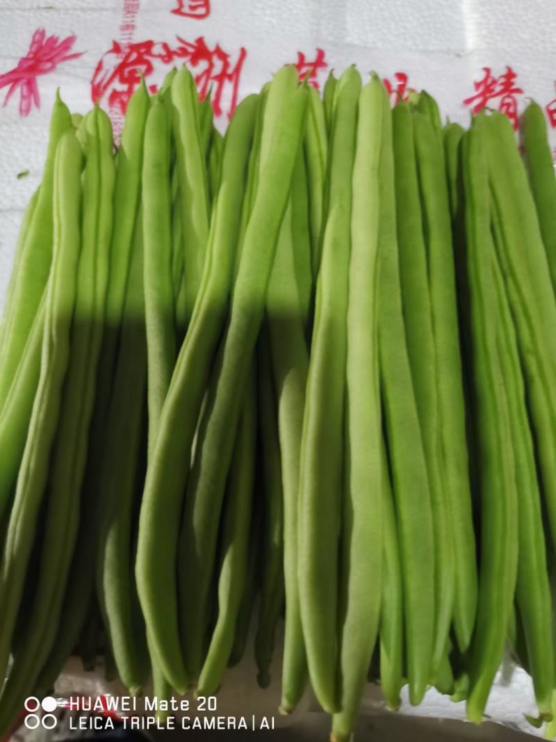 小金豆小金豆，新苗保山货