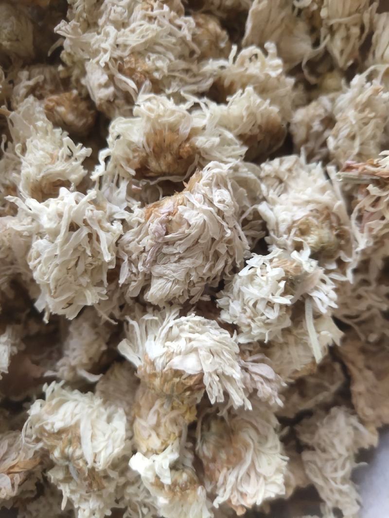 菊花白菊选关书药业批发各种中药1000g起批