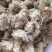 菊花白菊选关书药业批发各种中药1000g起批