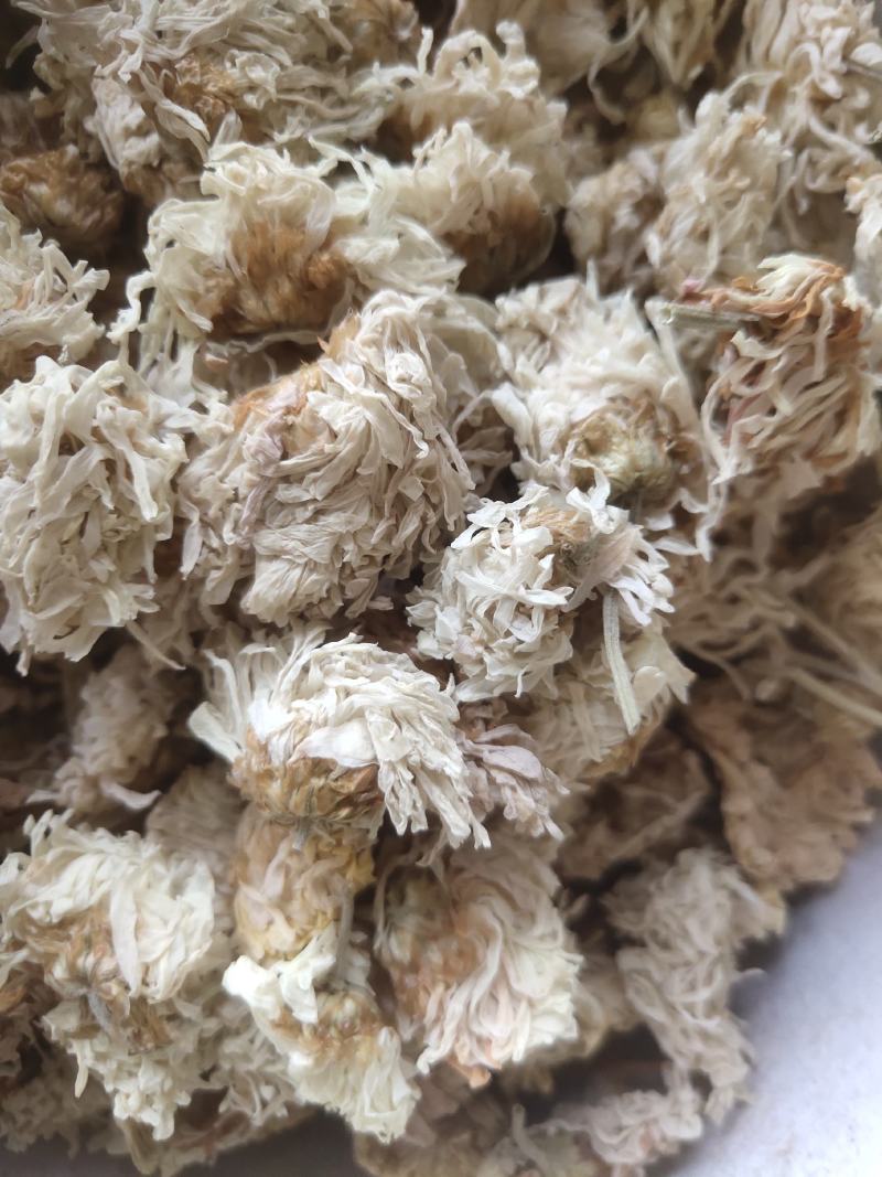 菊花白菊选关书药业批发各种中药1000g起批