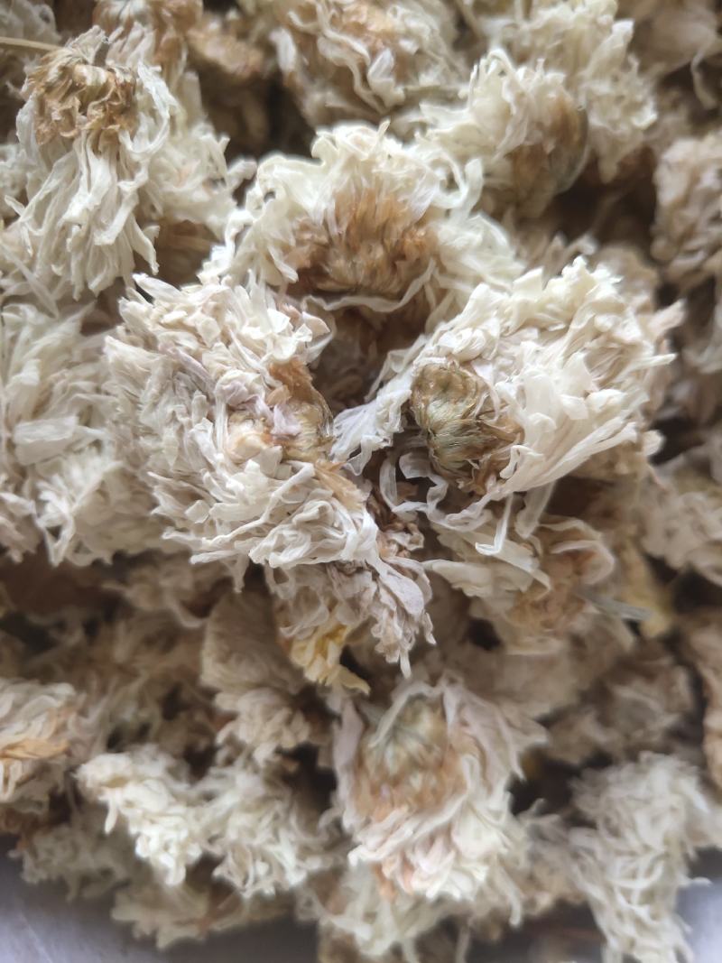菊花白菊选关书药业批发各种中药1000g起批