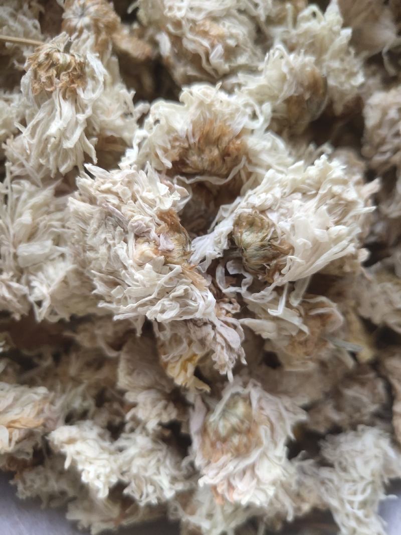 菊花白菊选关书药业批发各种中药1000g起批