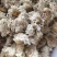 菊花白菊选关书药业批发各种中药1000g起批