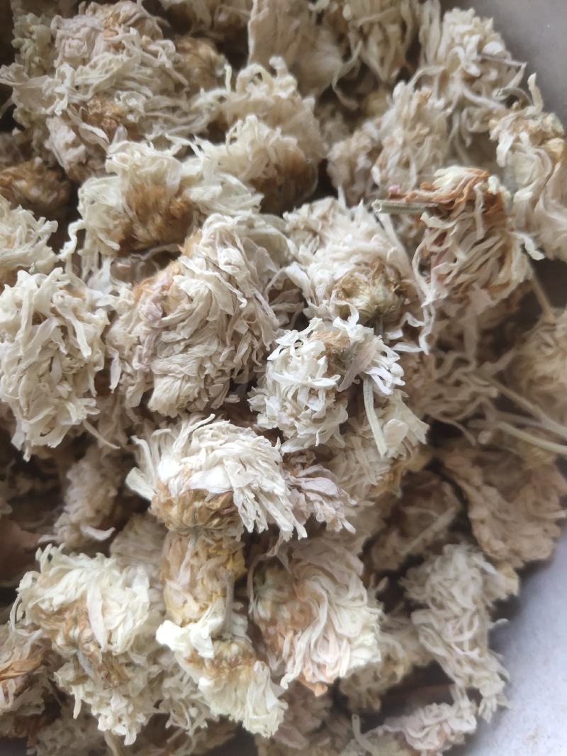菊花白菊选关书药业批发各种中药1000g起批