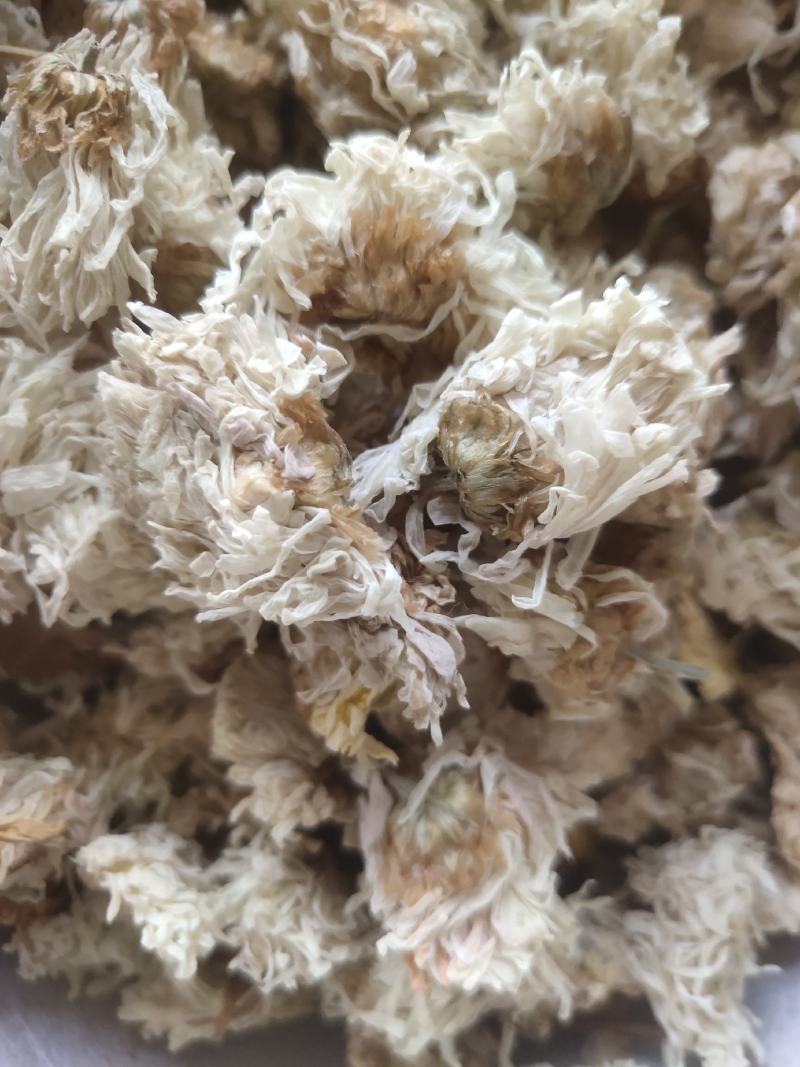 菊花白菊选关书药业批发各种中药1000g起批