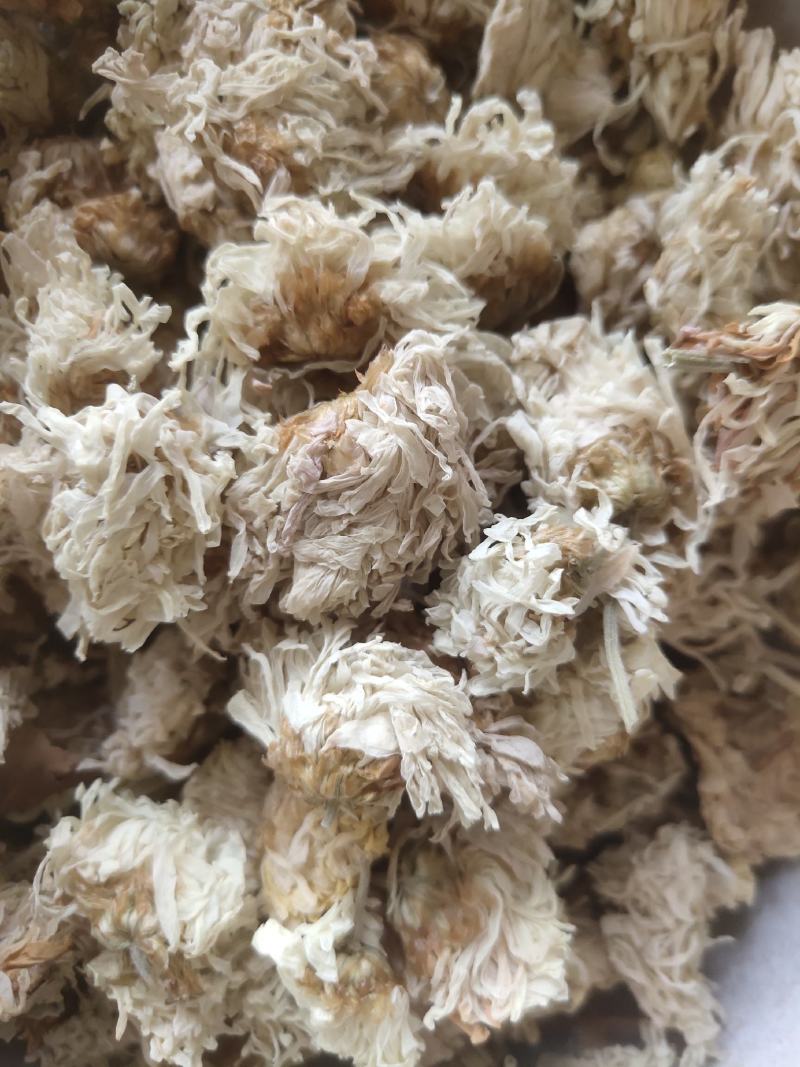 菊花白菊选关书药业批发各种中药1000g起批